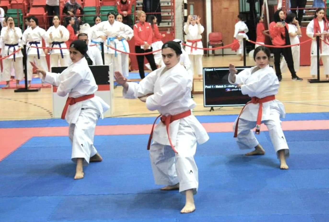 اتحاد الكاراتيه: مكاسبنا كبيرة في الموسم الحالي ونجني ثمار مشروع "نجوم المستقبل" 1 اتحاد الكاراتيه: مكاسبنا كبيرة في الموسم الحالي ونجني ثمار مشروع "نجوم المستقبل"