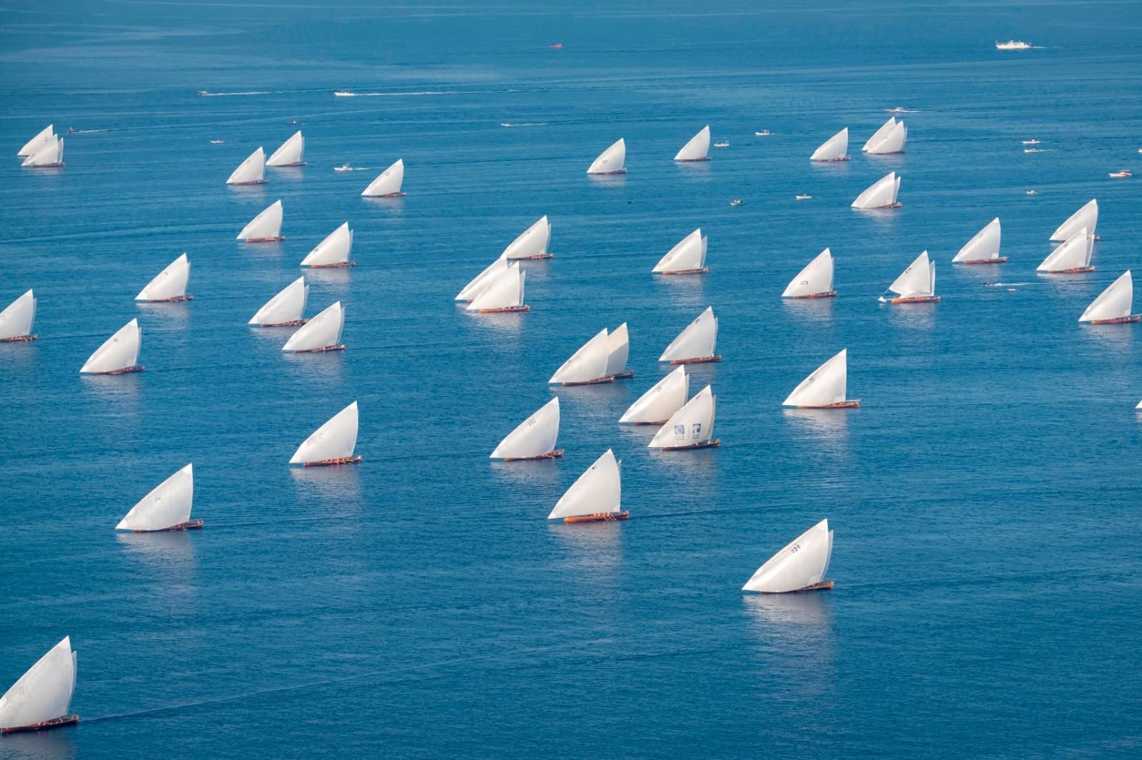 سباق دلما التاريخي للمحامل الشراعية 60 قدماً ينطلق الجمعة 1 سباق دلما التاريخي للمحامل الشراعية 60 قدماً ينطلق الجمعة