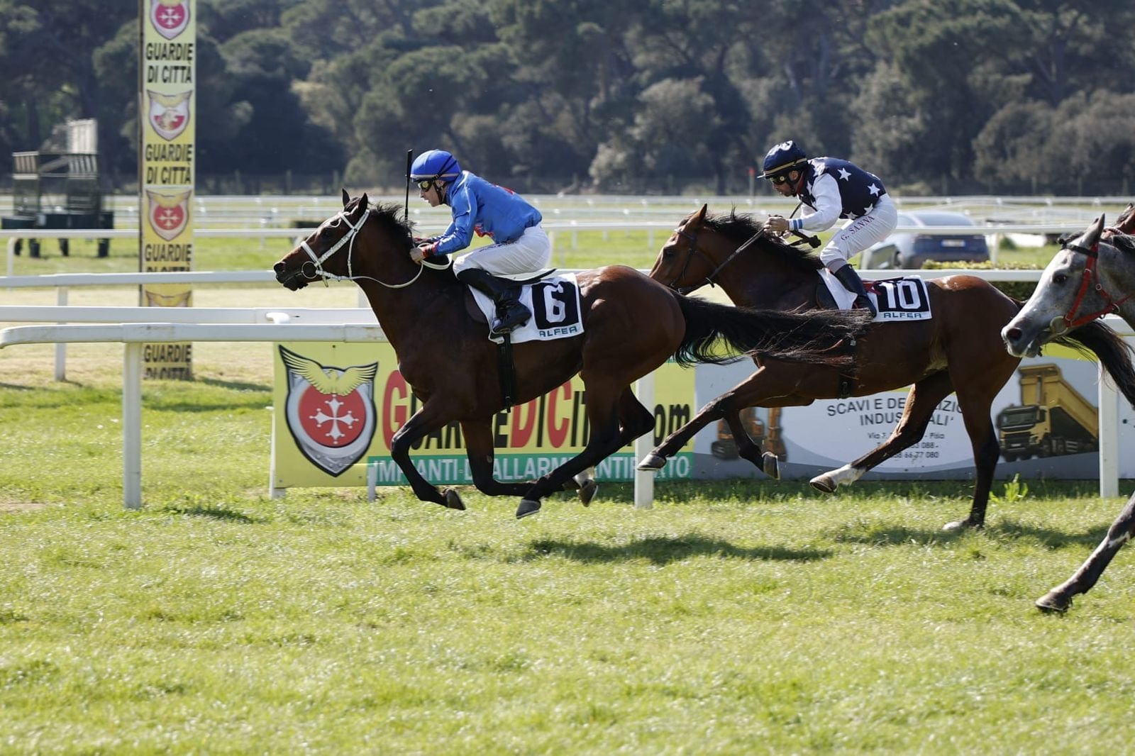 7 خيول تتنافس غدًا على "كأس الوثبة" في إيطاليا 1 7 خيول تتنافس غدًا على "كأس الوثبة" في إيطاليا