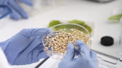 99.12‎ % نسبة العينات الغذائية المطابقة للسلامة في عجمان خلال الربع الأول