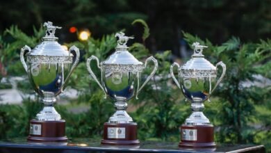 إيطاليا تحتضن المحطة الثالثة لكأس رئيس الدولة للخيول العربية