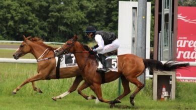 "الزاركا" تحرز كأس الوثبة للخيول العربية في بلجيكا