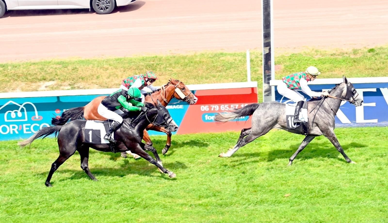 خيول ياس تتصدر كأس الوثبة بفرنسا 1 خيول ياس تتصدر كأس الوثبة بفرنسا