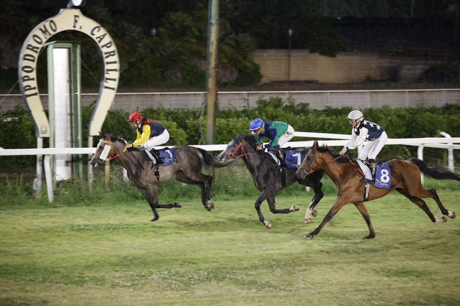 كأس الوثبة للخيول العربية ينطلق بإيطاليا غدا