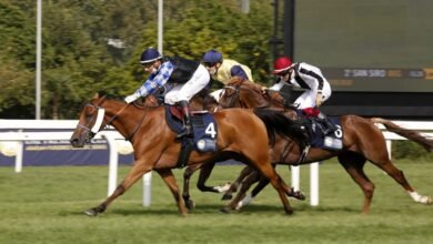 سفير الإمارات لدى إيطاليا: كأس رئيس الدولة للخيول العربية تعزز الدبلوماسية الرياضية وتسهم في بناء جسور التواصل