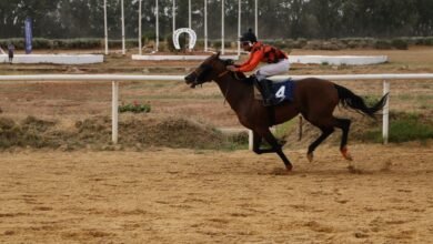 الجواد "خدام" يحتفظ بلقب كأس رئيس الدولة للخيول العربية للعام الـ 3 في تونس
