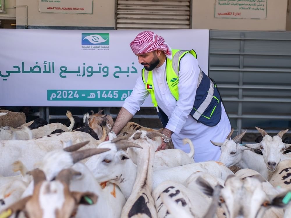 27.600 مستفيد من مبادرة "خيرية الفجيرة" لتوزيع لحوم الأضاحي