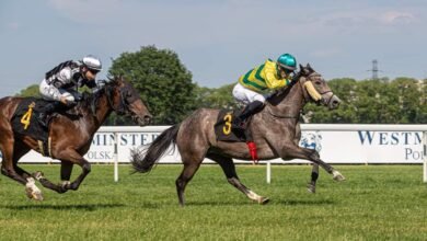 "ثلاثية" للخيال في سباق بولندا للخيول العربية ومشاركة مرتقبة بفرنسا