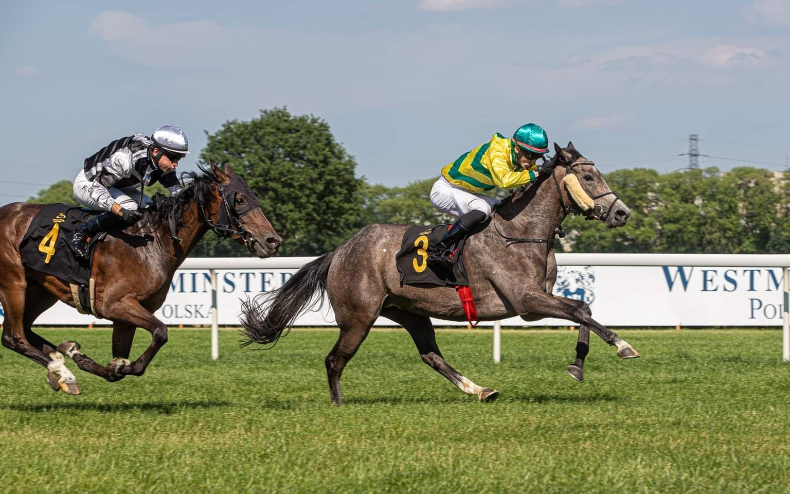 "ثلاثية" للخيال في سباق بولندا للخيول العربية ومشاركة مرتقبة بفرنسا