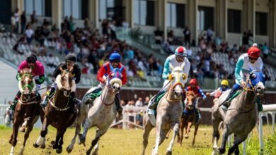 7 خيول تتنافس في كأس الوثبة برومانيا غدًا