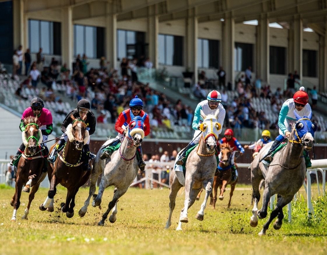 7 خيول تتنافس في كأس الوثبة برومانيا غدًا