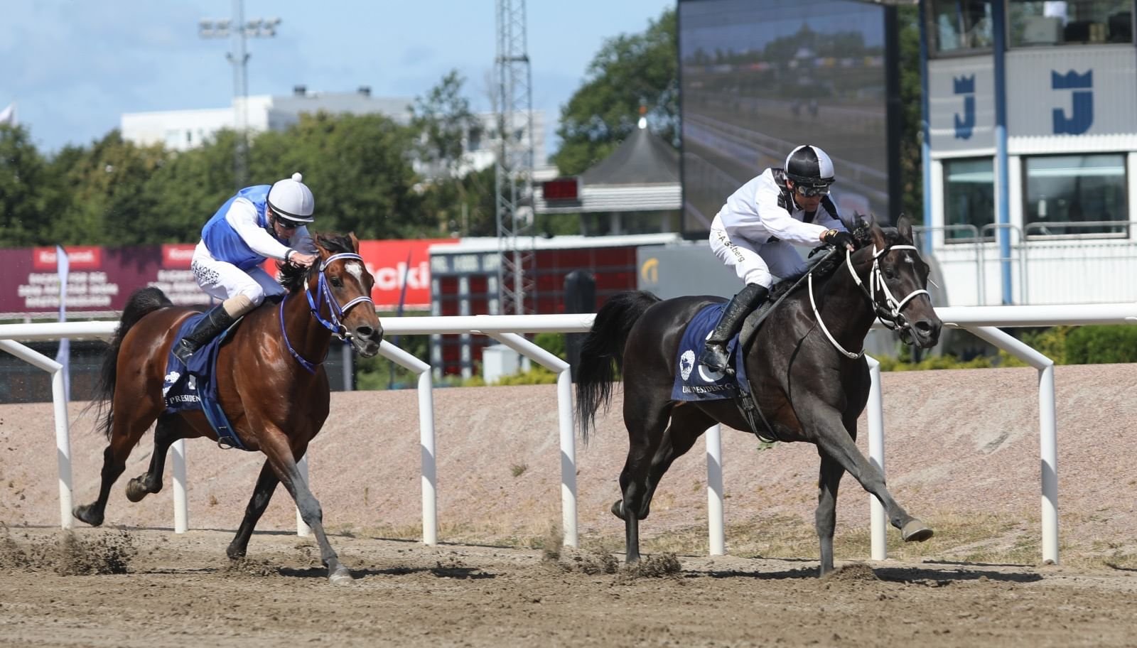 غدا.. السويد تستضيف كأس رئيس الدولة للخيول العربية الأصيلة