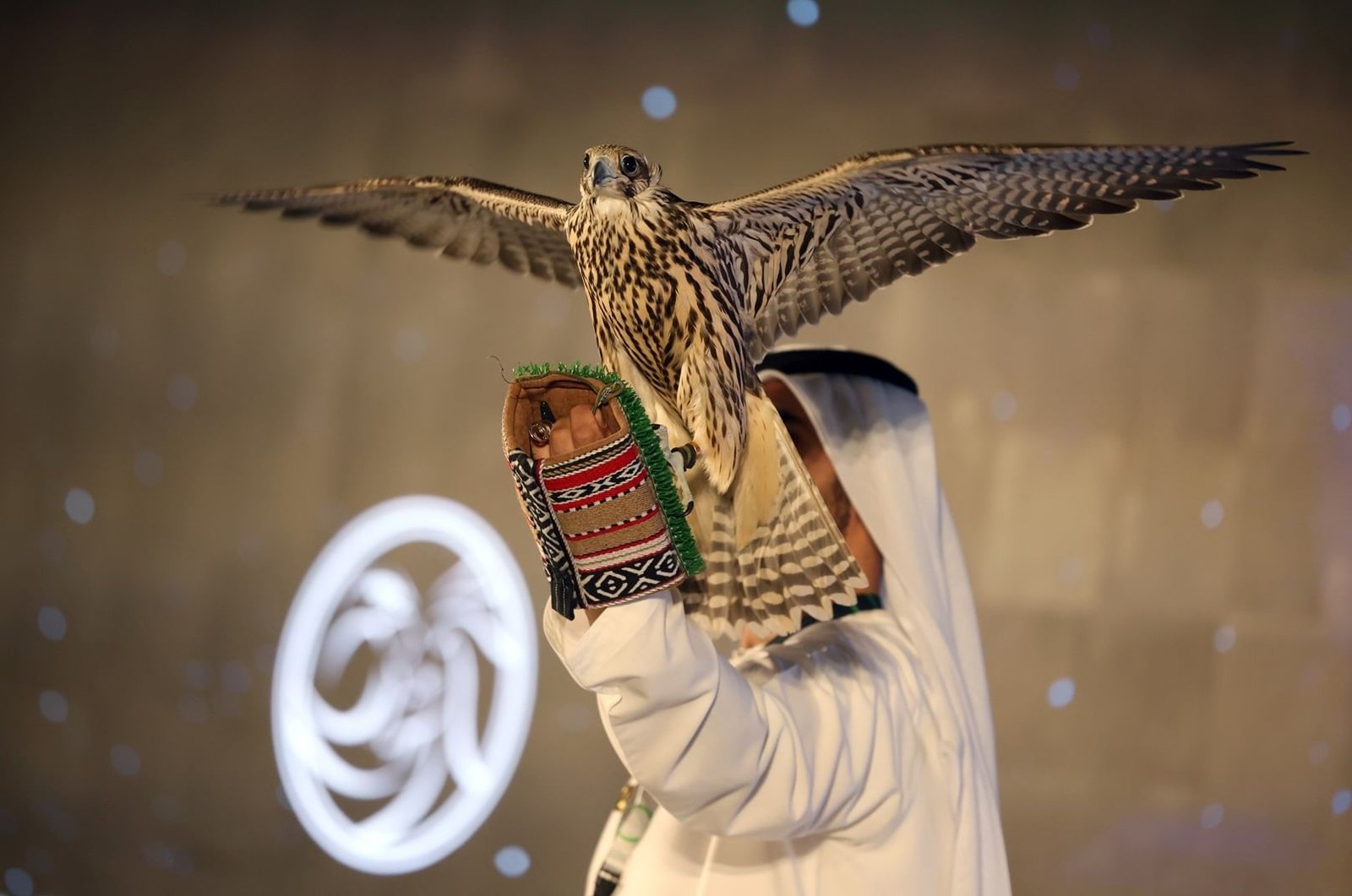 طرح تذاكر معرض أبوظبي الدولي للصيد والفروسية 1 طرح تذاكر معرض أبوظبي الدولي للصيد والفروسية