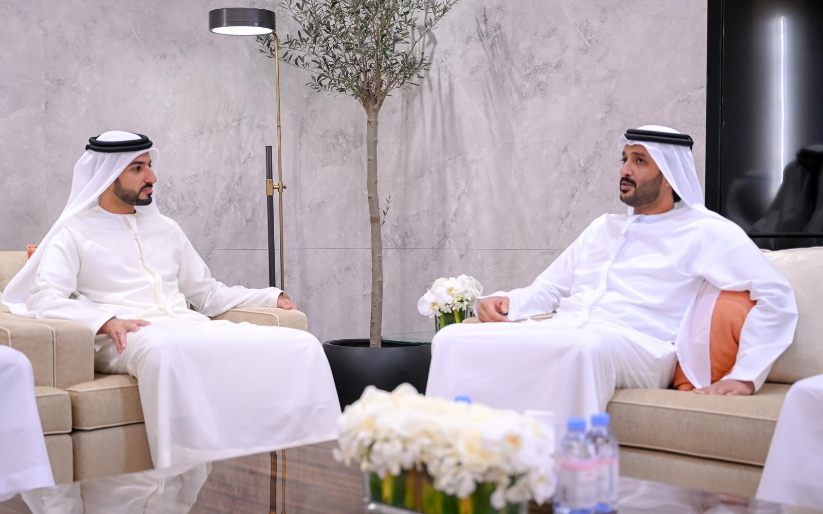 راشد بن حميد يترأس اجتماع لجنة تطوير منطقة مصفوت بعجمان 1 راشد بن حميد يترأس اجتماع لجنة تطوير منطقة مصفوت بعجمان