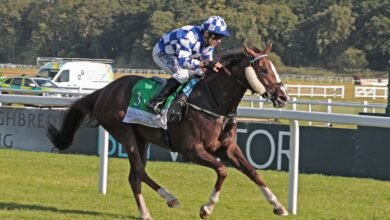 المهرة "أميرة الزمان" تحرز لقب كأس الوثبة للخيول العربية في بريطانيا