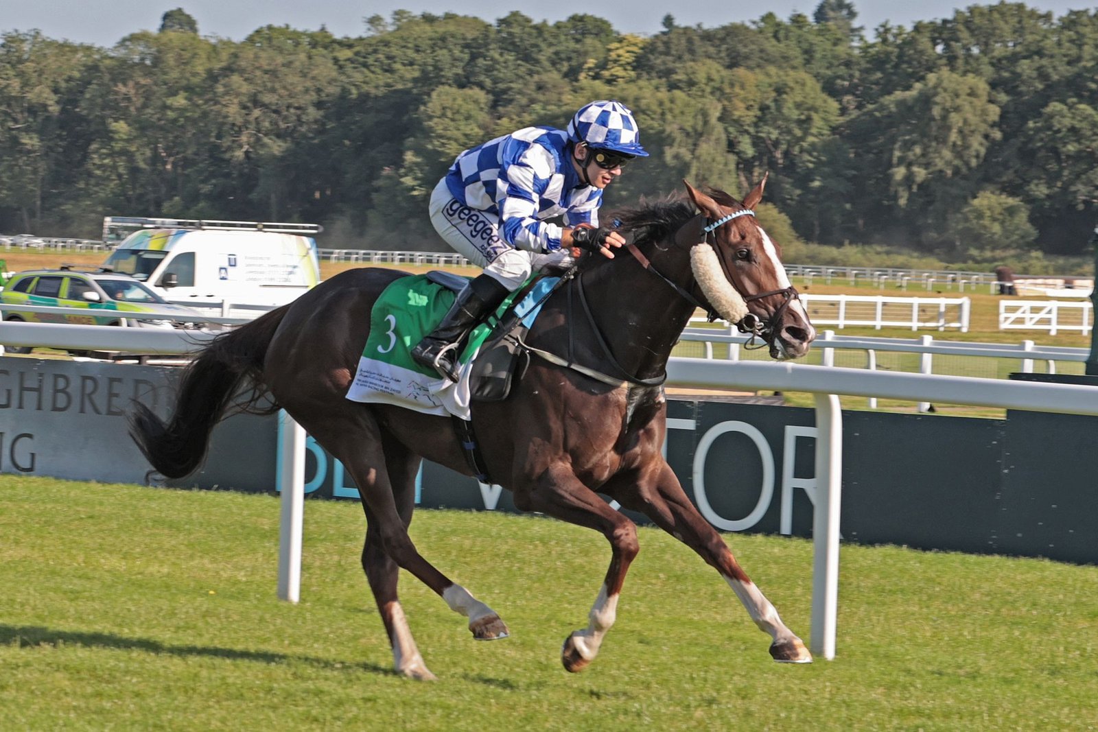 المهرة "أميرة الزمان" تحرز لقب كأس الوثبة للخيول العربية في بريطانيا