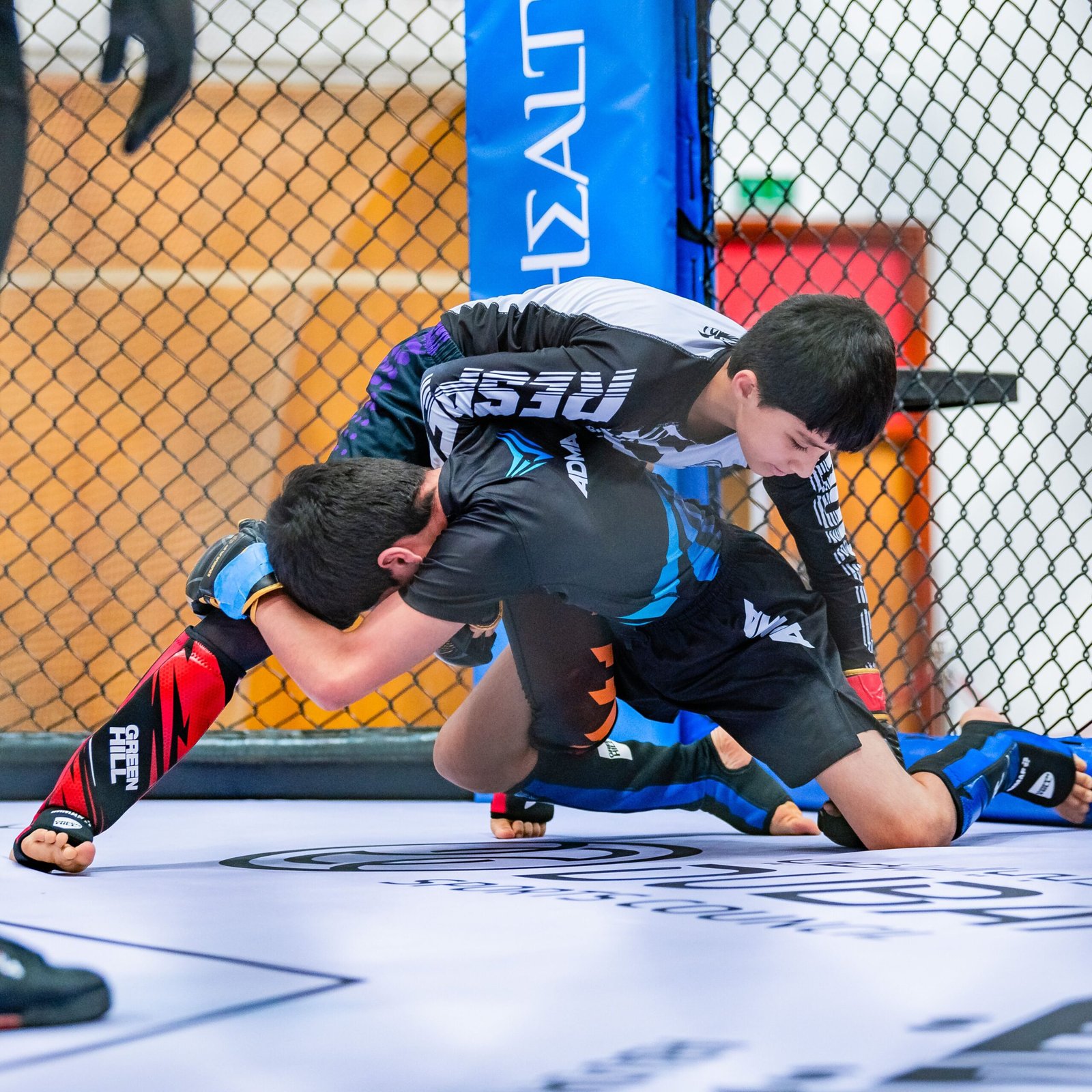 ختام بطولة الفنون القتالية المختلطة للناشئين بدبي