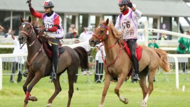 10 فرسان من الإمارات في القائمة الأولية للمشاركة في مونديال القدرة بفرنسا
