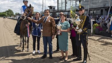 للعام الثاني على التوالي.. الجواد "فريدي بي" بطلا لكأس رئيس الدولة للخيول العربية في السويد