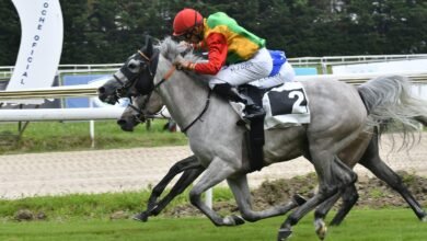 الفرس "فاتنة" تحرز لقب كأس زايد للخيول العربية في إسبانيا