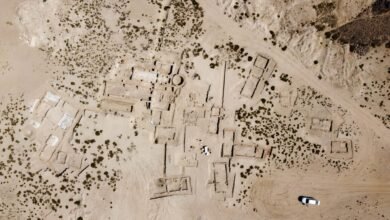 جزيرة السينية.. ثراء تاريخي يكشف عراقة المنطقة وتأثيرها الإنساني