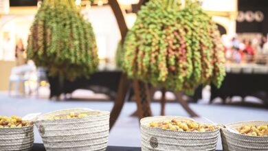 فعاليات متنوعة في اليوم الثاني من مهرجان ليوا عجمان للرطب والعسل