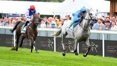 "إزينتي" يحرز لقب كأس الوثبة للخيول العربية في بريطانيا