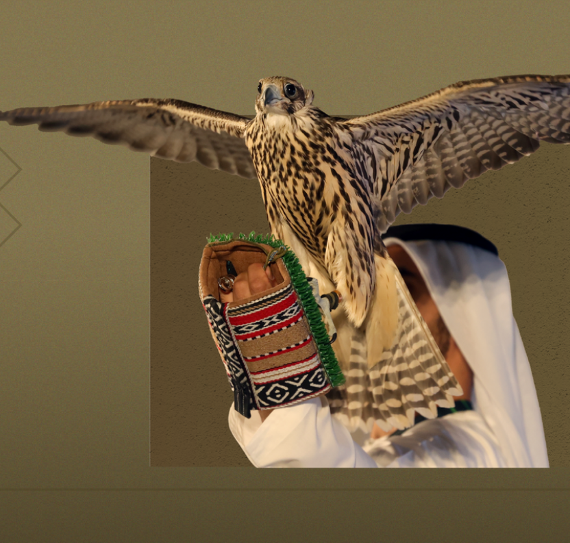 النسخة الـ21 من معرض أبوظبي الدولي للصيد والفروسية تسجِّل مشاركة دولية قياسية لتصبح النسخة الأكبر في تاريخ المعرض 1 النسخة الـ21 من معرض أبوظبي الدولي للصيد والفروسية تسجِّل مشاركة دولية قياسية لتصبح النسخة الأكبر في تاريخ المعرض
