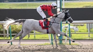 كأس الوثبة للخيول العربية ينطلق في بريطانيا غدًا