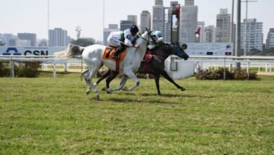 "باسماري راش" بطلة كأس الوثبة للخيول العربية في البرازيل