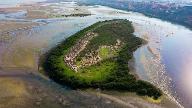محمية خور المزاحمي ... واجهة الموائل الطبيعة والتنوع البيولوجي في رأس الخيمة