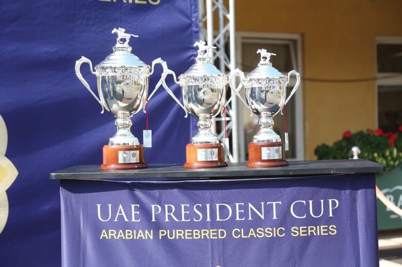 لأول مرة.. انطلاق كأس رئيس الدولة للخيول العربية الأصيلة بمحطته الـ10في تركيا غدًا 1 لأول مرة.. انطلاق كأس رئيس الدولة للخيول العربية الأصيلة بمحطته الـ10في تركيا غدًا
