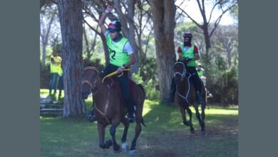 فرسان الإمارات أبطال مونديال إيطاليا للخيول الصغيرة للقدرة