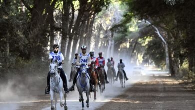 25 فارساً وفارسة يمثلون الإمارات في "مونديال الخيول الصغيرة للقدرة" بإيطاليا