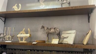 مستلزمات الخيول الإماراتية تستقطب زوار معرض الفروسية في المغرب