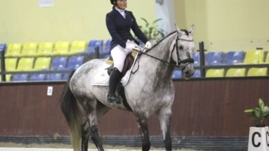 اتحاد الفروسية ينظم 16 بطولة لترويض الخيول خلال الموسم الجديد