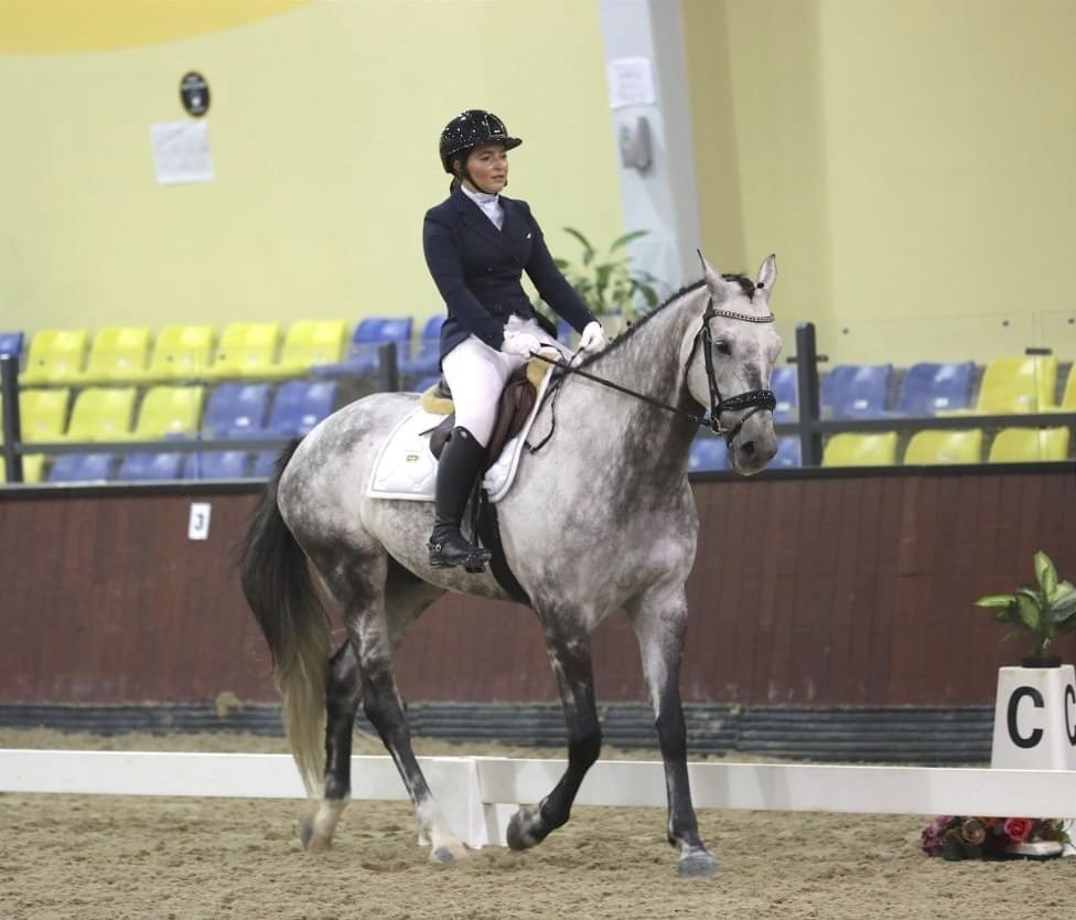 اتحاد الفروسية ينظم 16 بطولة لترويض الخيول خلال الموسم الجديد