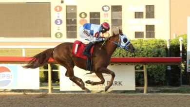 المهرة "بيرننج آش" تحرز لقب كأس الوثبة في الولايات المتحدة