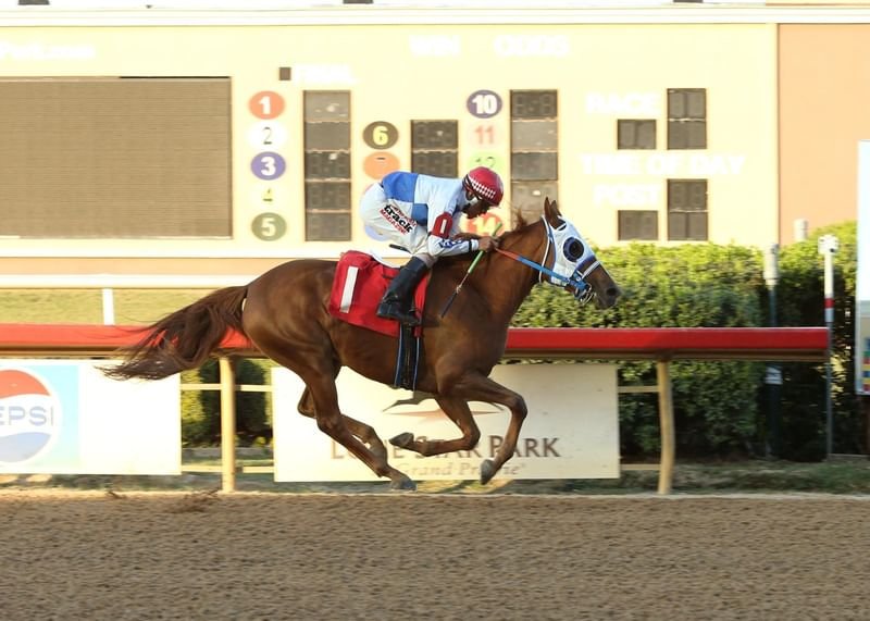 المهرة "بيرننج آش" تحرز لقب كأس الوثبة في الولايات المتحدة