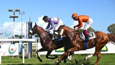 كأس فاطمة بنت مبارك للخيول العربية تنطلق غداً في فرنسا