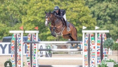 المرزوقي والمهيري والكربي يمثلون الإمارات ببطولة "أوليفا الدولية" لقفز الحواجز