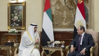 رئيس الدولة يصل القاهرة في زيارة عمل