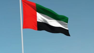 محافظ المصرف المركزي: علم الإمارات مصدر فخرنا ورمز تلاحمن