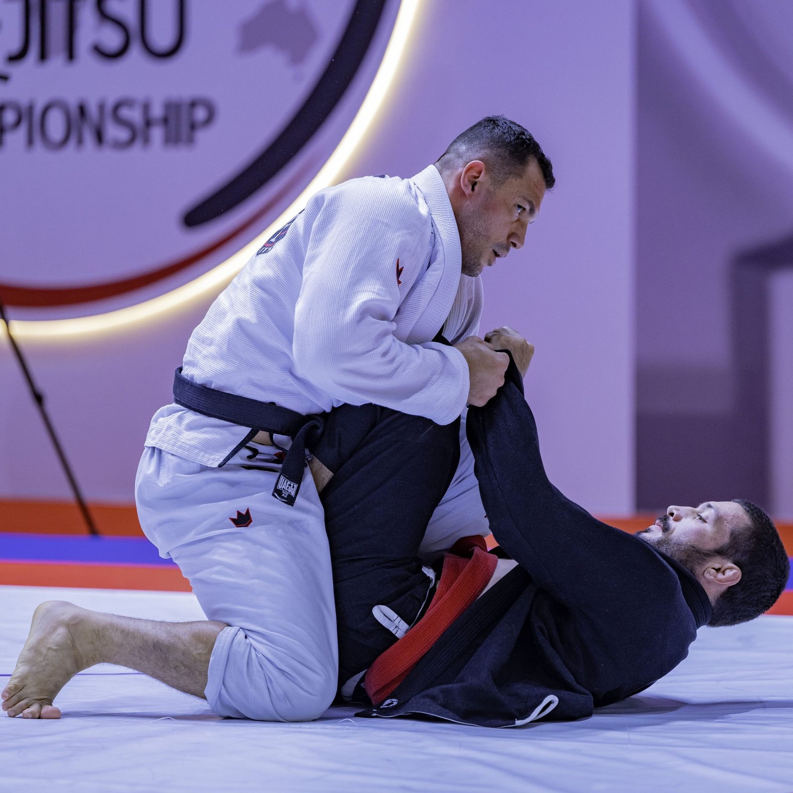 تألق لافت لأبطال الإمارات في " أبوظبي العالمية لمحترفي الجوجيتسو"