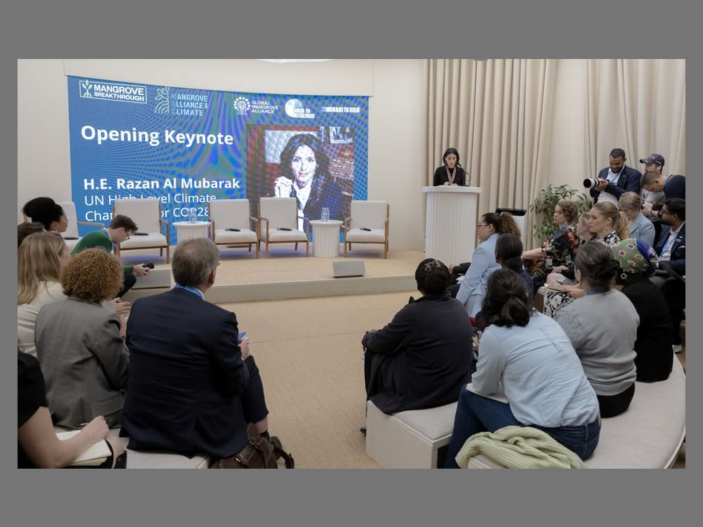 جناح الإمارات في COP29 يختتم فعالياته