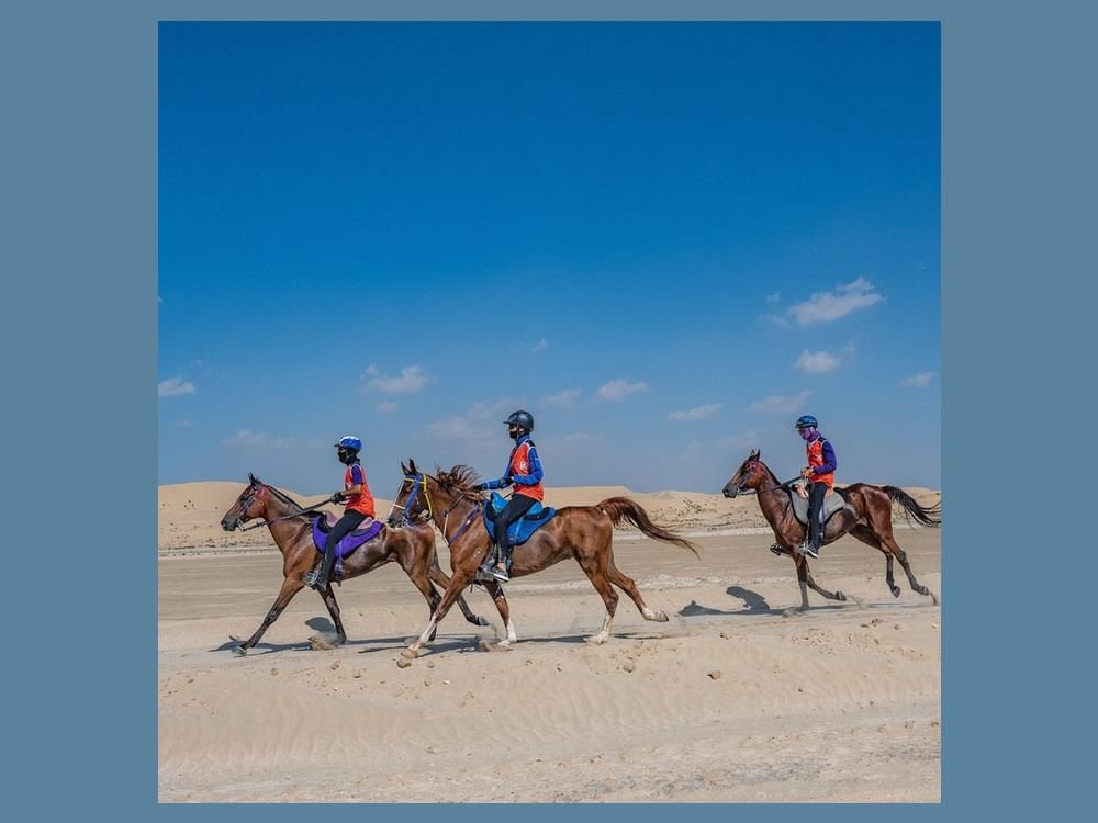 بطولة "المجموعة السابعة" للقدرة والتحمل تنطلق في أبوظبي يناير المقبل