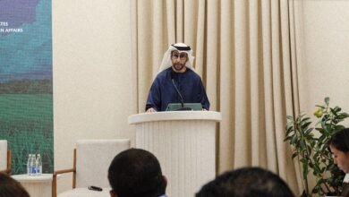 جناح الإمارات في COP29 يستعرض جهودها في إزالة الكربون من القطاعات عالية الانبعاثات