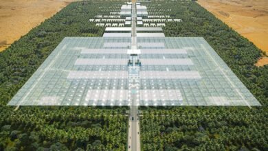 "بيئة" تكشف عن تصميم مشروع حي جواهر بوسطن الطبي بالشارقة