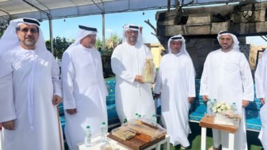 مزارعو الإمارات يحتفون بمحصول الأرز