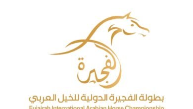 "بطولات الفجيرة للخيل العربي" ترسخ حضورها على خارطة الأحداث الرياضية الدولية